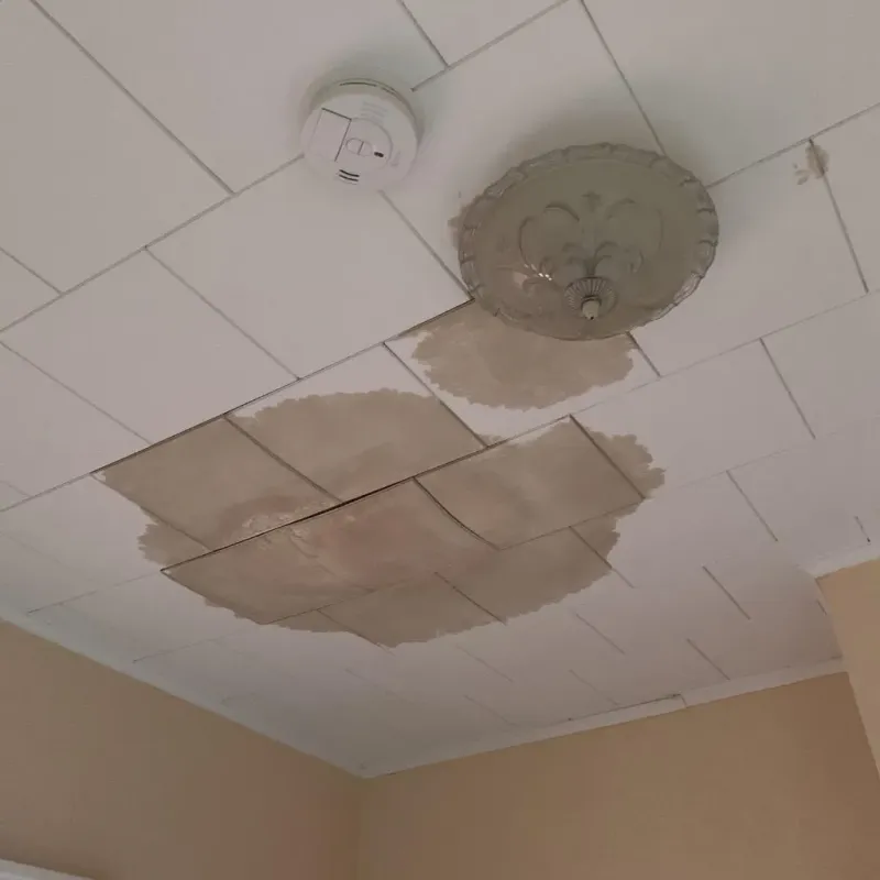Ceiling Water Damage Repair in Marion, NC