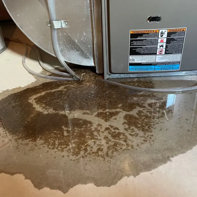 Pipe Burst and Leak Restoration in Marion, NC