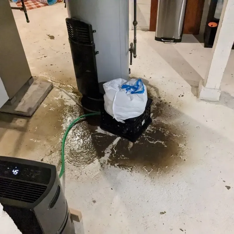 Sewage Backup Cleanup Service in Marion, NC
